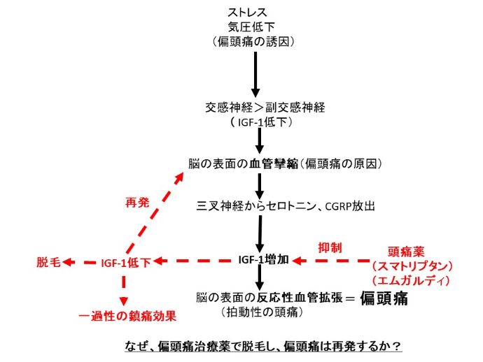 円形脱毛症　病院